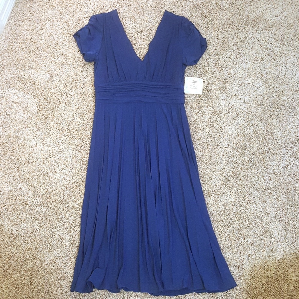 Suzi Chin Pleated Cap Sleeve Blue Dress | Size 10